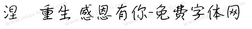 涅槃重生 感恩有你字体转换